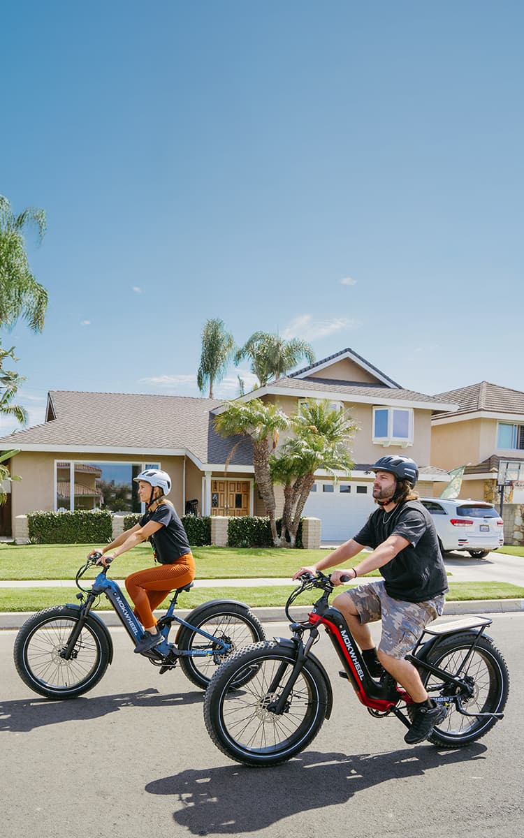 Mokwheel Ebikes