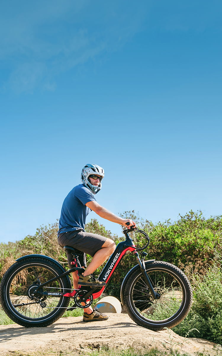 Mokwheel Ebikes