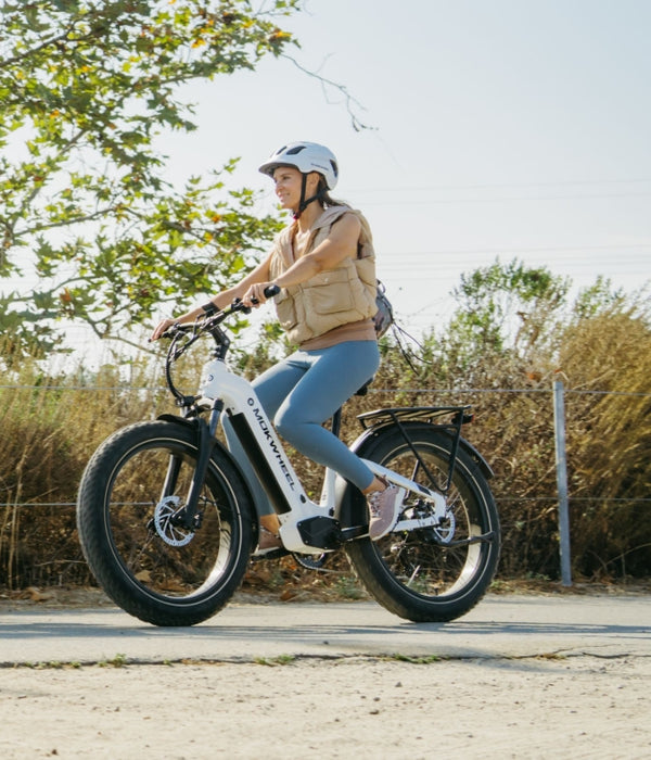 Mokwheel Basalt_st_2.0 e-bike