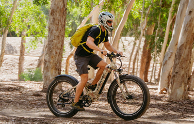 Mokwheel Obsidian ST - electric bike for adults
