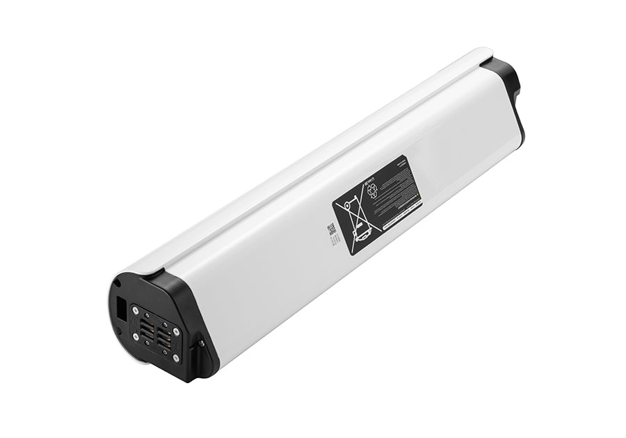 electric bike extra battery