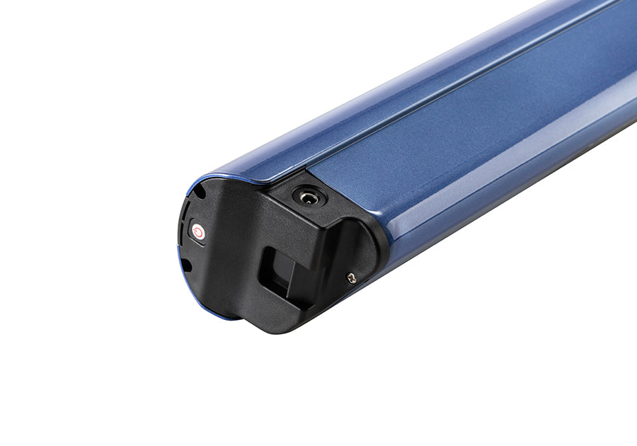 electric bike extra battery