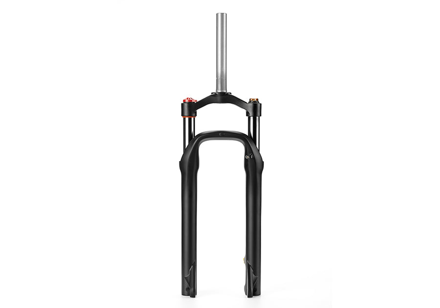 electric bike for adults for sale