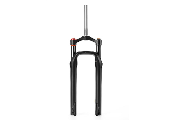 electric bike for adults for sale