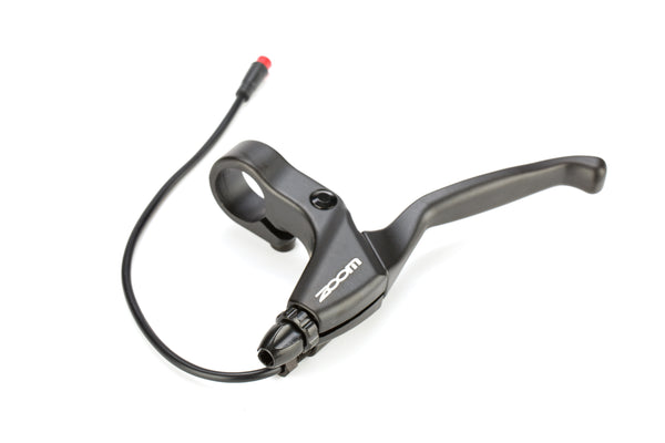 electric bike for adults for sale