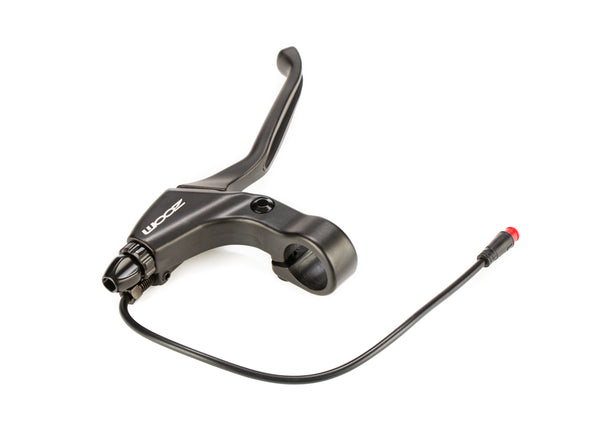 electric bike for adults for sale