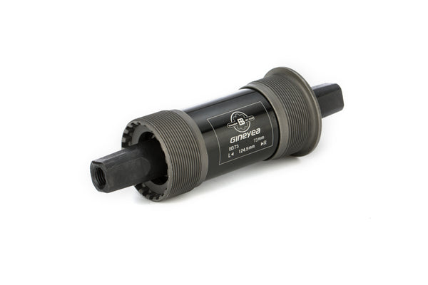 electric bike for adults for sale