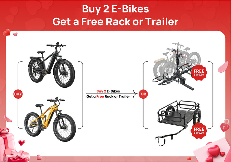 Deal 3: Dual E-Bike Bundle Sale