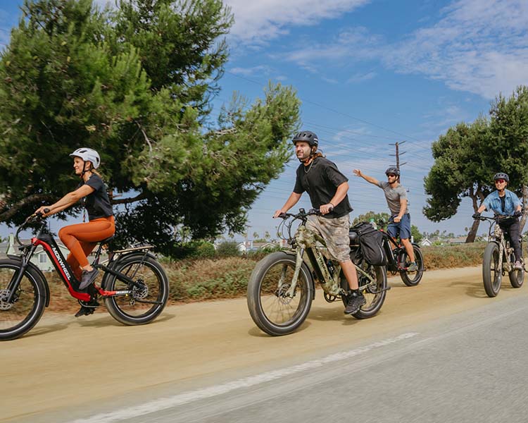 Mokwheel Ebikes