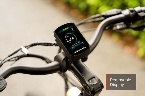 Tarmac EbikeStandard / Pine Green