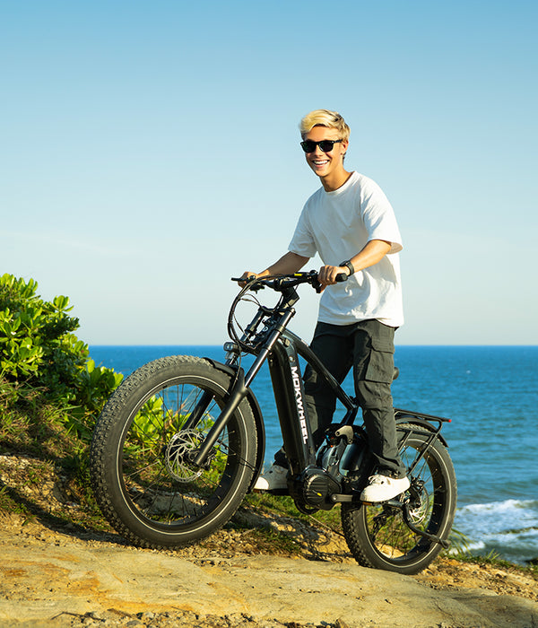 Mokwheel Onyx Ebike