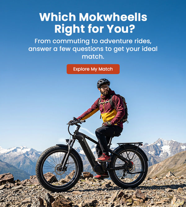 Mokwheel Ebikes