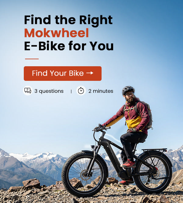Mokwheel Ebikes