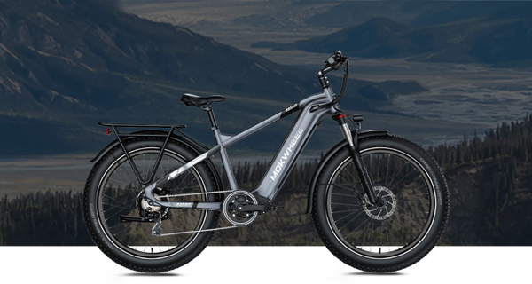 0% Annual Interest Rate Mokwheel Electric Bike Financing Plan