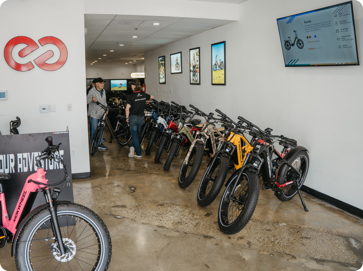 Mokwheel - good ebike brands
