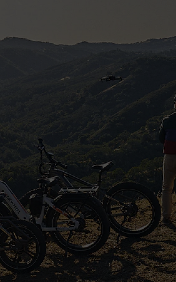 0% Annual Interest Rate Mokwheel Electric Bike Financing Plan