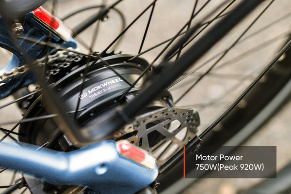 Tarmac EbikeStandard / Pine Green