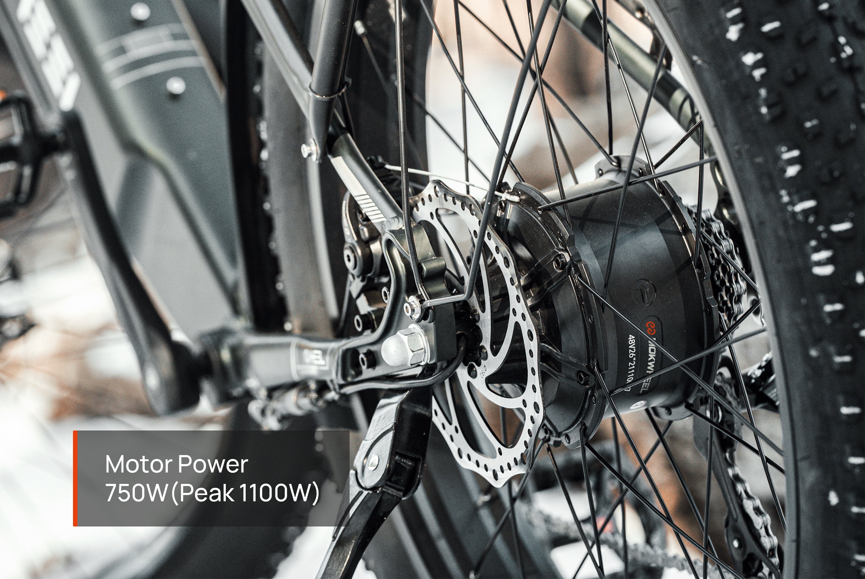 Tor Plus| Best E Mountain Bike For Adults| Mokwheel Ebikes