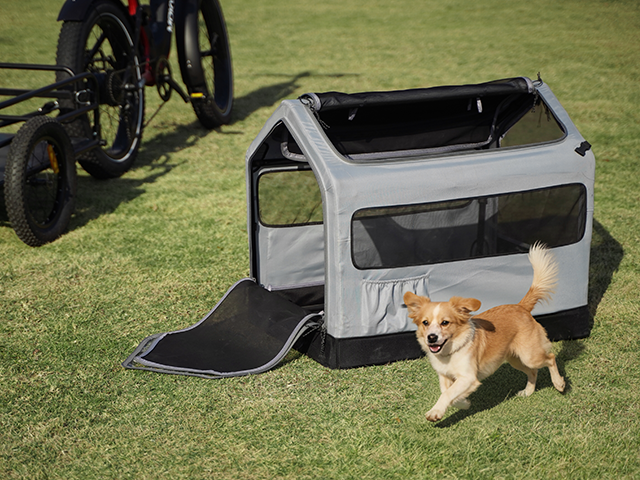 Pet Shed (Peaked Roof)