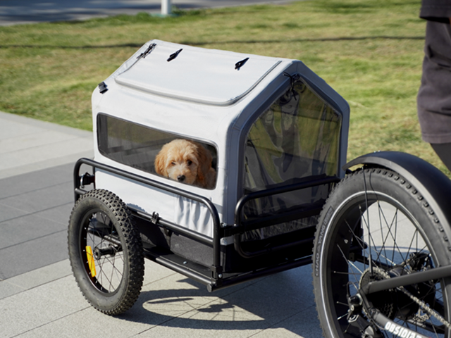 Pet Shed (Peaked Roof)