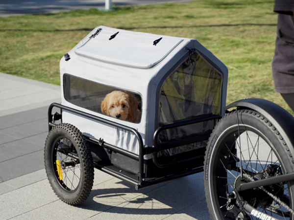 Pet Shed (Peaked Roof)