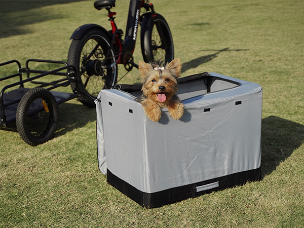 Pet Shed (Flat Roof)