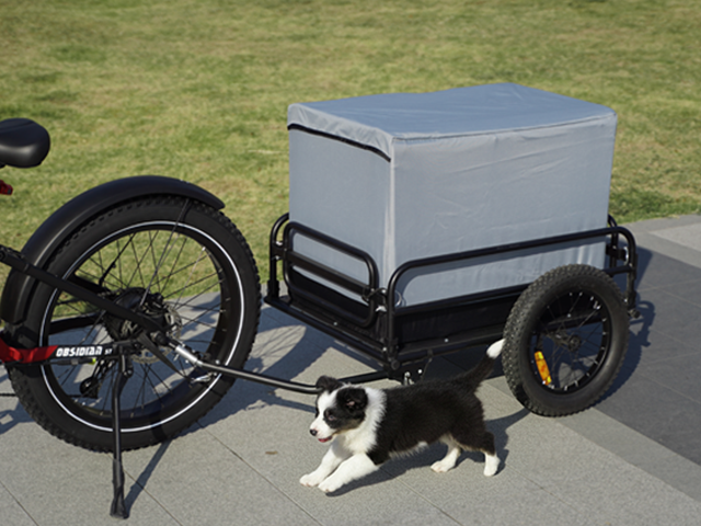 Pet Shed (Flat Roof)