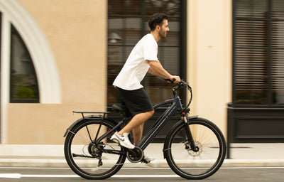 Mokwheel Asphalt - electric long range bike
