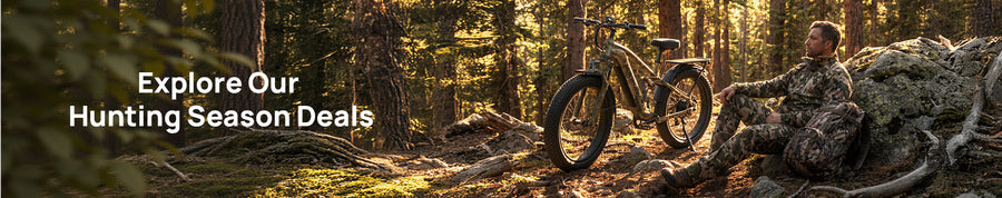 collections-electric-bikes