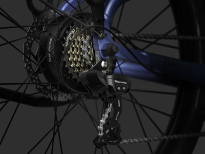 Mokwheel ebike with 7-speed derailleur for smooth gear transitions across all terrains
