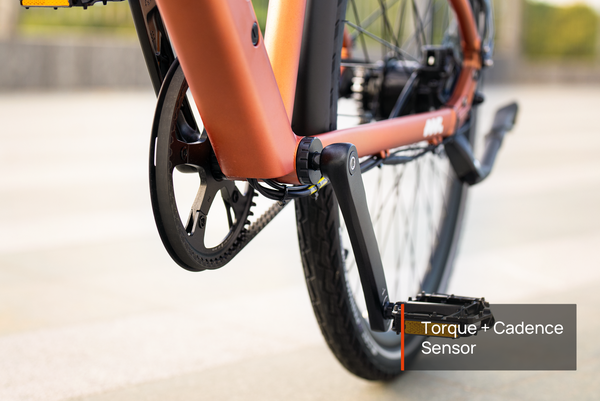 FLINT PRO EbikeOrange