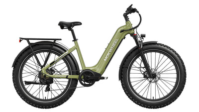 Basalt ST Ebike