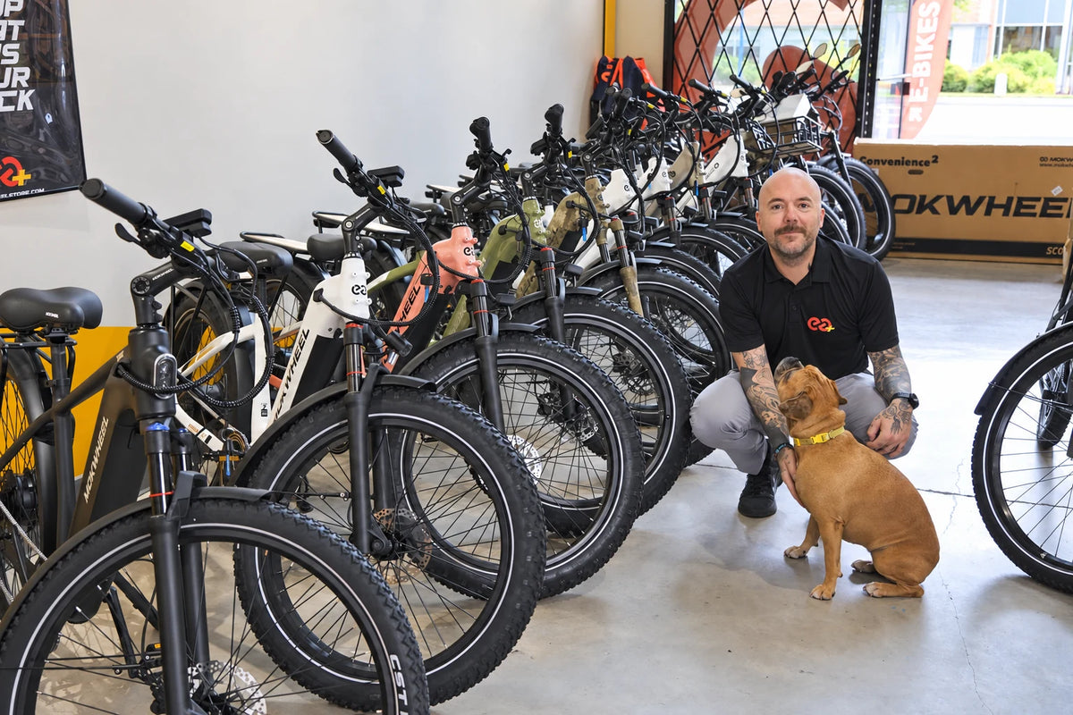Team member and dog inside the Tualatin showroom