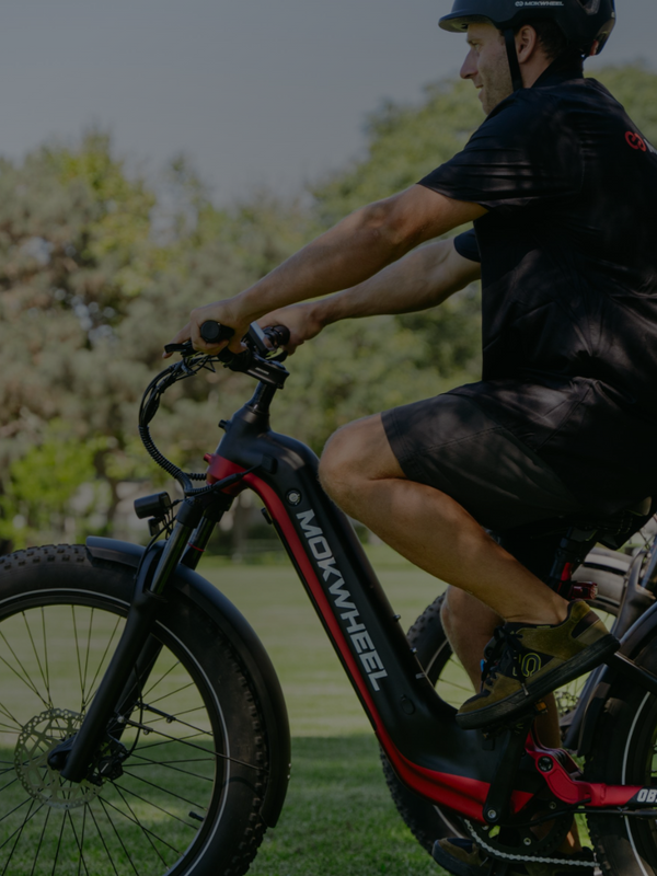 Unlock Exclusive Perks with Mokwheel’s Reward Program